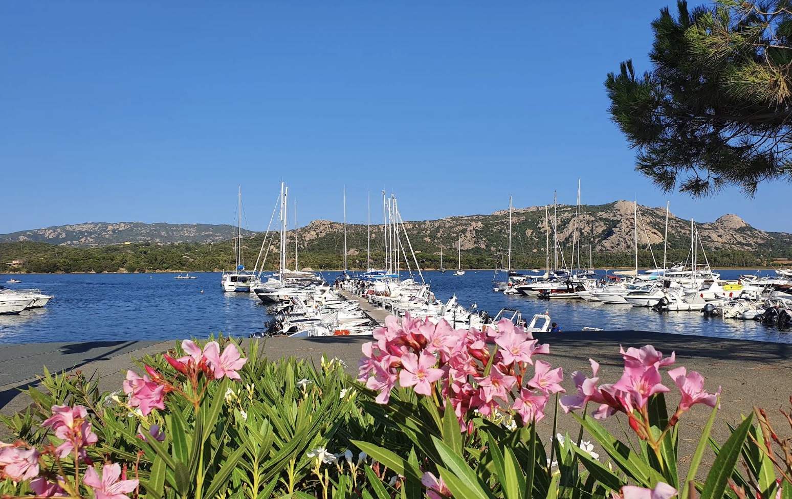 Marina di Cannigione Skipper Saverio